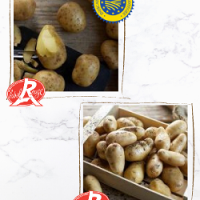 pommes-de-terre-GLQ-actu-250_300